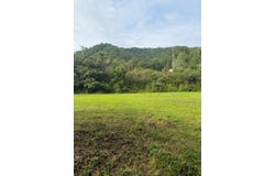 799 Pearl Hill Rd, Delbarton, WV 25670
