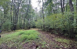 293 Dolney Ln, Fort Hill, PA 15540