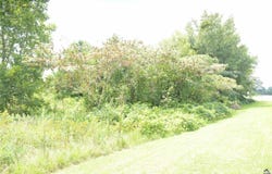 Gunn Road, Byron, GA 31008
