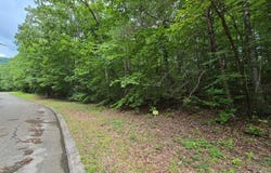 Lower Brow Rd lot: 136, Dunlap, TN 37327
