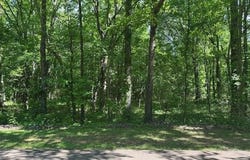 OLD CREEK Rd lot: 4, Memphis, TN 38125
