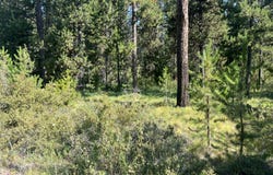 17310 Guss Way, Bend, OR 97707