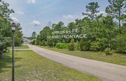 Old Palmetto Path, St Marks, FL 32355