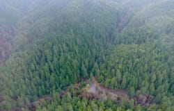 1802 Waters Creek Road, Wilderville, OR 97543