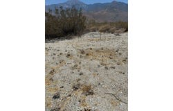 Hyacinth Ln, Whitewater, CA 92282