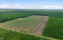 Florence Road, Merritt, NC 28556