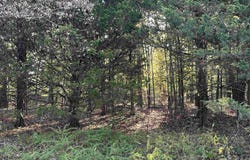 001 Hand Cove Road, Elizabeth, AR 72531