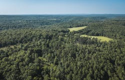 Tract 2 Private Drive, Norwood, MO 65717