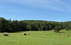 379 Stryker Road, Gilboa, NY 12076