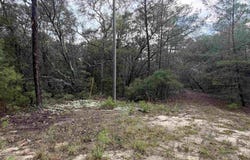 402 Deeda St, Florahome, FL 32140