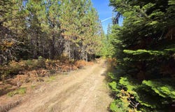 Timberline Heights, Parcel 6, Weippe, ID 83553