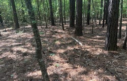 10912 Highway 190 E, Jasper, TX 75951