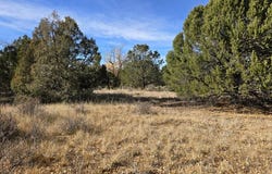 126 Cedar Ridge Rd, Mosca, CO 81146