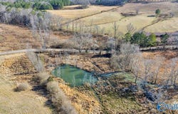 95 County Road 970, Logan, AL 35098