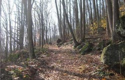 168 Cascade Ridge, Southington, CT 06489
