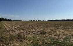 Mayhall Rd, Rayville, LA 71269