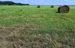 1325 County Road 210, Poth, TX 78147