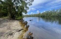 TBD8 Francis Marion Dr., Georgetown, SC 29440
