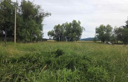 NKA Winchester St, Cusick, WA 99119
