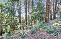 2662 Scenic, Crestline, CA 92325