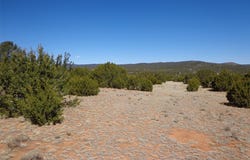 Tract 2B Camino del Sol, NM 87569