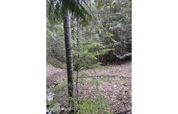 940 Sled Run Trl, Clark Fork, ID 83811