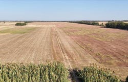 Bolton Rd, Cibolo, TX 78124