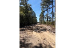 Old Dixie Hwy, Springfield, GA 31329