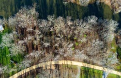 RIVER OAKS LANDING CIRCLE lot: 35, ORRVILLE, AL 36767