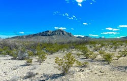 16949 Highlander Rd., Terlingua, TX 79852