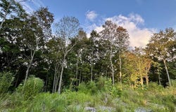 7535 Modoc Road, Burkesville, KY 42717