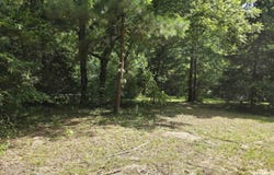 22695 CR 223, Arp, TX 75750
