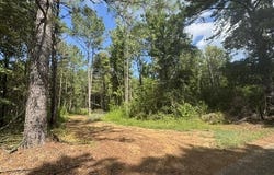 Parcel 2&3 Harper College Road, Gloster, MS 39638