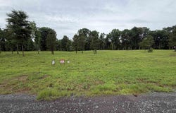 Old River Rd lot: 10-29, Pangburn, AR 72121