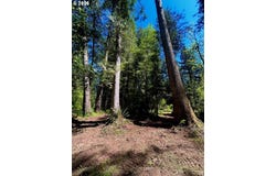 McKenzie Hwy, McKenzieBridge, OR 97413