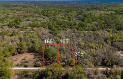 7252 SONIA Avenue, WEBSTER, FL 33597