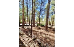 1301 N 45TH Drive, Show Low, AZ 85901
