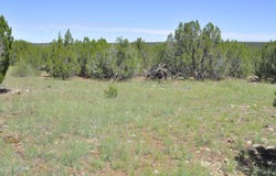 9184C Chimisa Ranch Rd, Show Low, AZ 85901