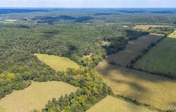 4649 Wayne Route C, Lowndes, MO 63951