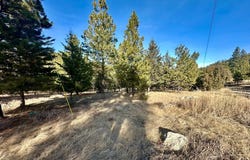 Martinez Gulch Road, Clancy, MT 59634