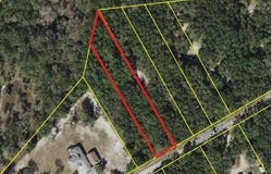 Rimrock Street, Webster, FL 33597