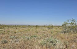 175th St E / Ave W14, Llano, CA 93544