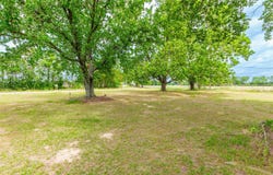 6225 FM 1002 S, Big Sandy, TX 75755