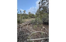 Skyline Ct Tract 6C, Sandia Park, NM 87047