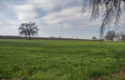 Lovers Lane, Visalia, CA 93292
