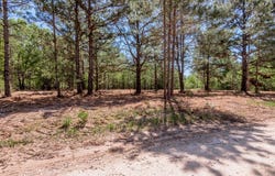6077 County Road 4200, PENNINGTON, TX 75856