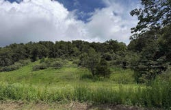 2595 Beech Fork Road (Parcel A), Lavalette, WV 25535