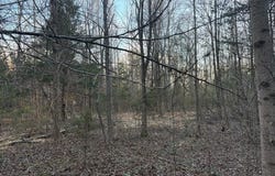 17732 Highway 58, Boydton, VA 23917