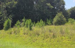 159 Grimsley Road, Colquitt, GA 39837