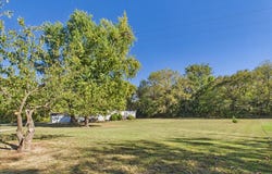 314 Rush Street, Pleasant Hope, MO 65725